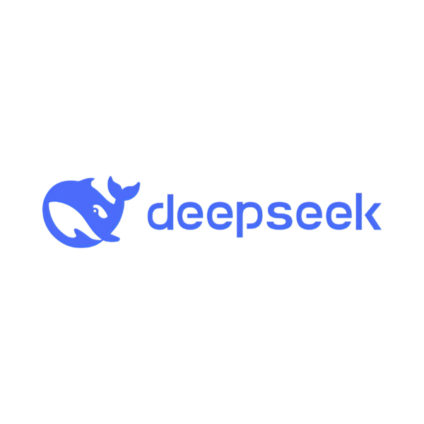 DeepSeek logo used on Florentino Castellanos' marketing portfolio website