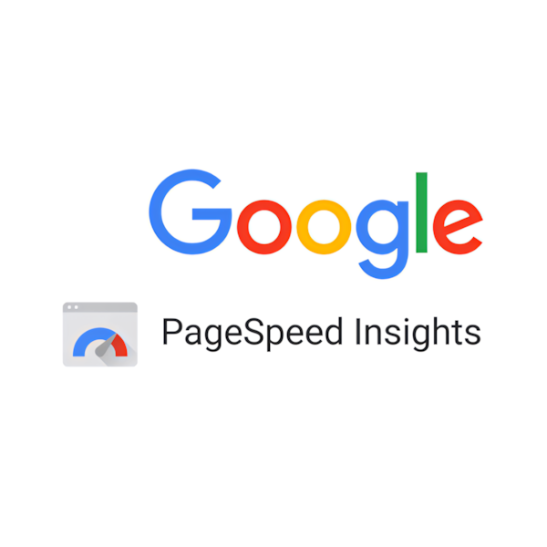 Google PageSpeed Insights logo used on Florentino Castellanos' marketing portfolio website