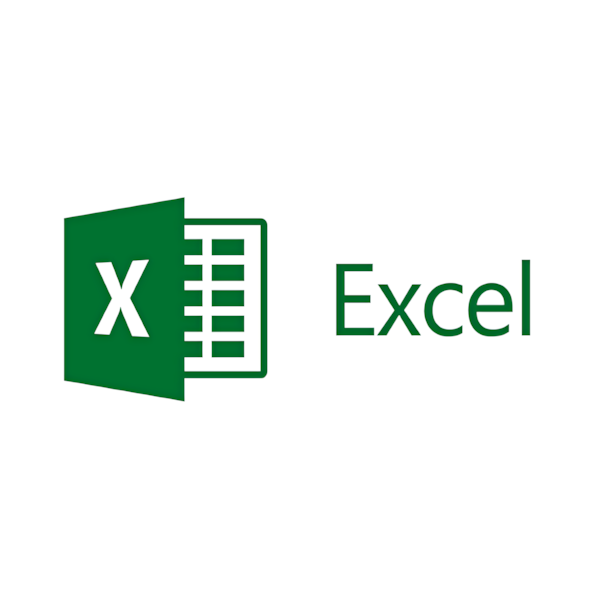 Microsoft Excel logo used on Florentino Castellanos' marketing portfolio website