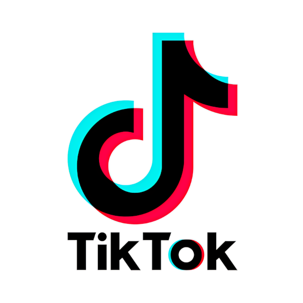 TikTok logo used on Florentino Castellanos' marketing portfolio website